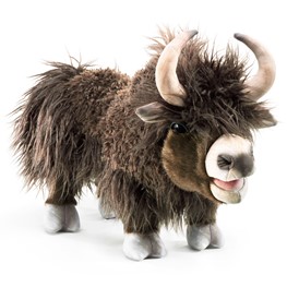 Yak