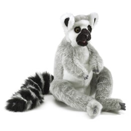 Lemur, Ring-tailed