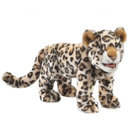Leopard, Cub
