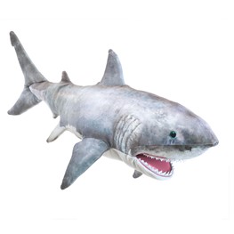 Shark, Great White