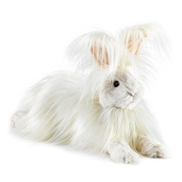 Rabbit, Angora