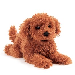 Poodle, Toy Puppy