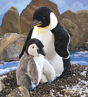 Emperor Penguins